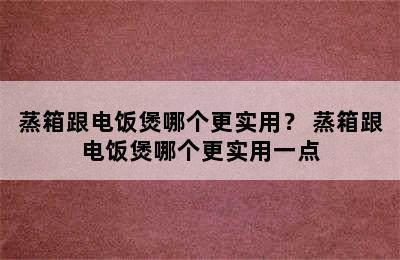 蒸箱跟电饭煲哪个更实用？ 蒸箱跟电饭煲哪个更实用一点